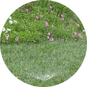 Most existing homes already have an irrigation system in their landscape. Whether sprinklers, rotors, micro spray, or drip, it's not underground drip approved for untreated greywater.