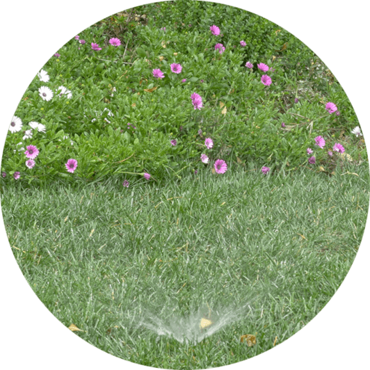 Most existing homes already have an irrigation system in their landscape. Whether sprinklers, rotors, micro spray, or drip, it's not underground drip approved for untreated greywater.